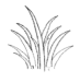 Hierba Fresca